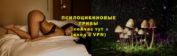 экстази Карпинск
