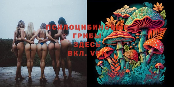 MESCALINE Каменка