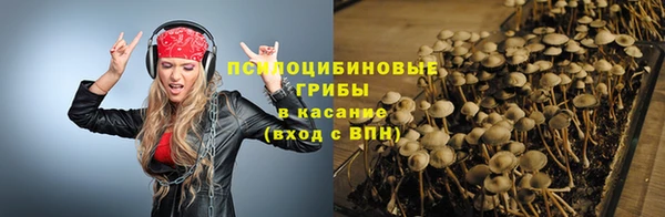 гидра Касимов