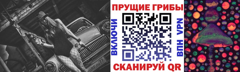 Купить где  Губкин  Галлюциногенные грибы MAGIC MUSHROOMS 
