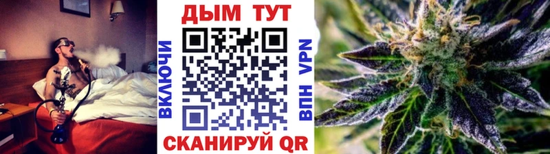 Купить где  Губкин  Бошки марихуана OG Kush 